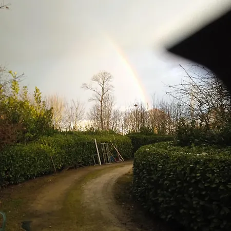 Jay's&finchs Saint-Cyr-du-Bailleul