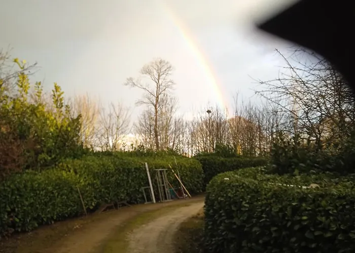 Jay's And Finchs Saint-Cyr-du-Bailleul